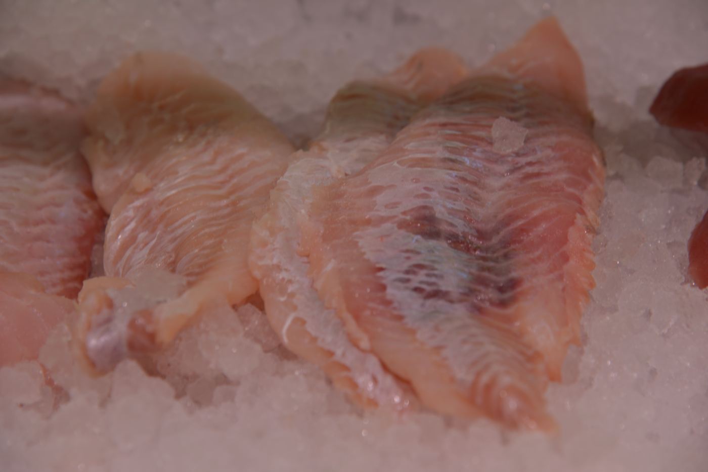 Fischspezialität von Fischräucherei Gottschalk